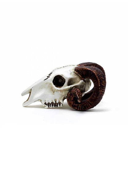 Alchemy Miniature Collectables - Ram's Skull