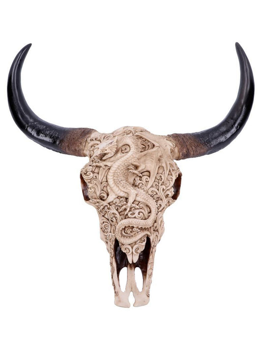 Mythical Markings Carved Dragon Animal Skull