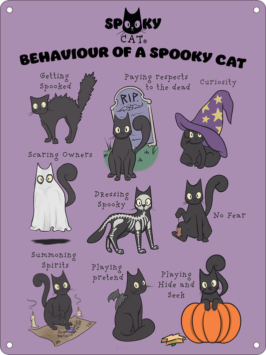 Behaviour Of A Spooky Cat Mini Tin Sign