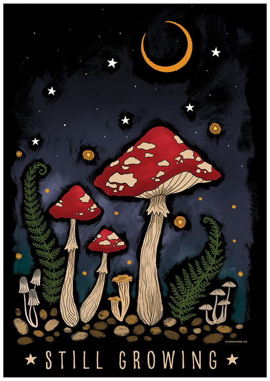 Magical Mushrooms Still Growing Mini Poster