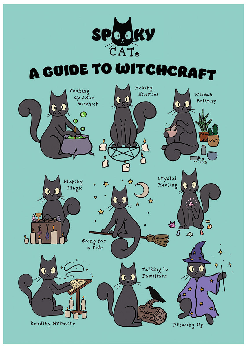 Spooky Cat A Guide To Witchcraft Mini Poster