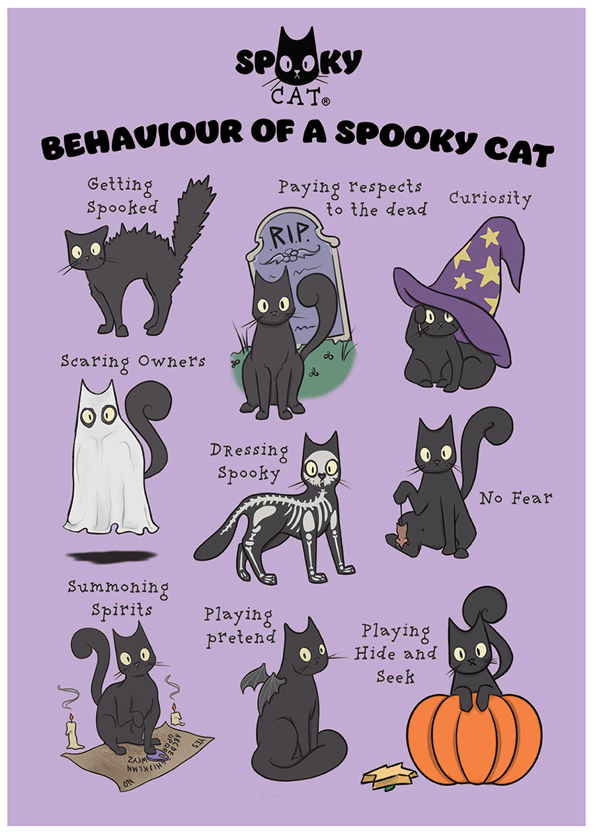 Behaviour Of A Spooky Cat Mini Poster