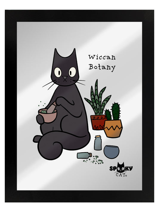 Framed Spooky Cat Wiccan Botany Mirrored Tin Sign