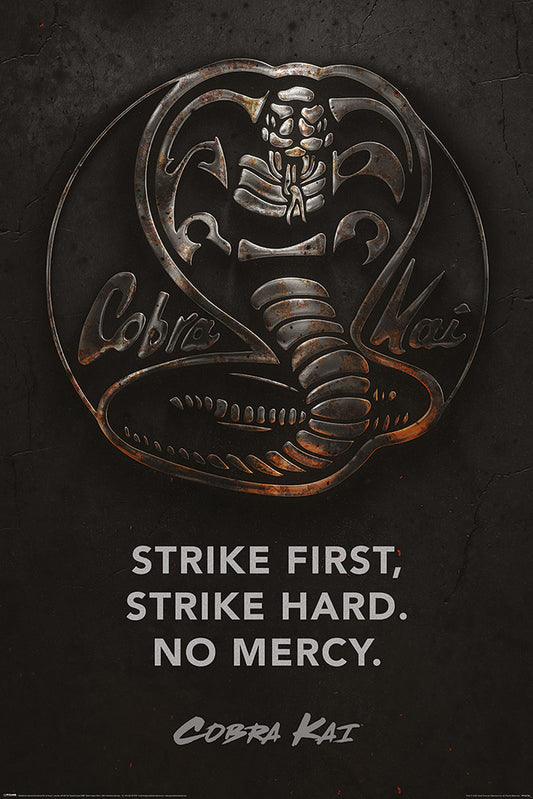 Cobra Kai Metal Maxi Poster