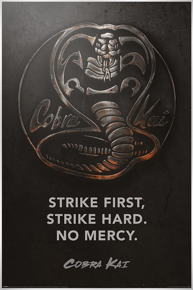 Cobra Kai Metal Maxi Poster