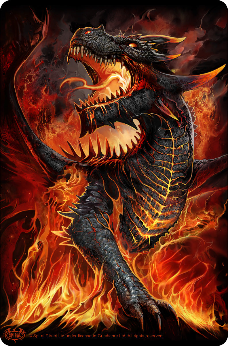 Dámské Tričko s drakem DRACONIS LG211372 | - Gothic Dámské Tričko s drakem DRACONIS LG211372 | - Gothic