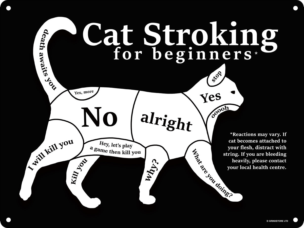Cat Stroking For Beginners Mini Tin Sign