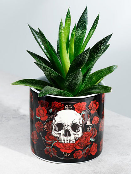Skulls & Roses Ceramic Indoor Plant Pot Small