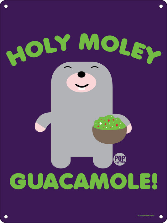 Pop Factory Holy Moley Guacamole! Mini Tin Sign