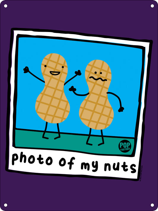 Pop Factory Photo of My Nuts Mini Tin Sign