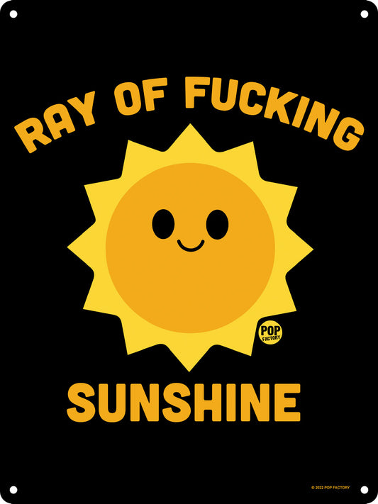Pop Factory Ray of Fucking Sunshine Mini Tin Sign
