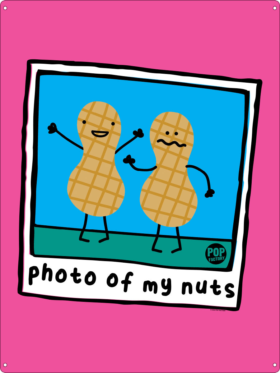 Pop Factory Photo of My Nuts Tin Sign