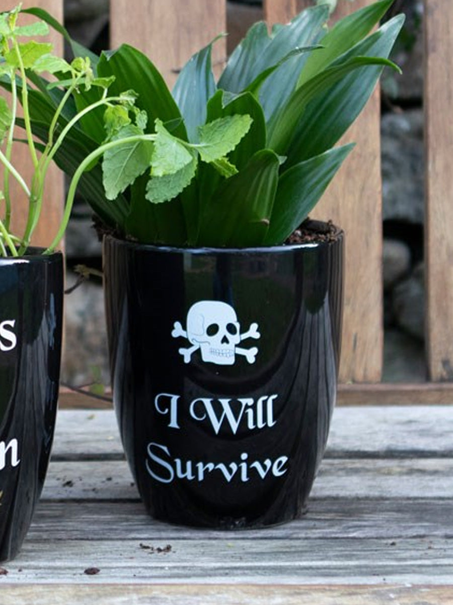 I Will Survive Gothic Plant Pot