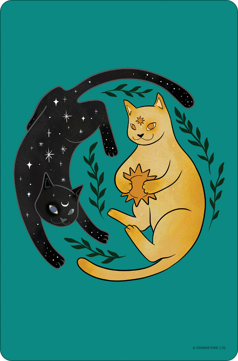 Celestial Kittens Greet Tin Card