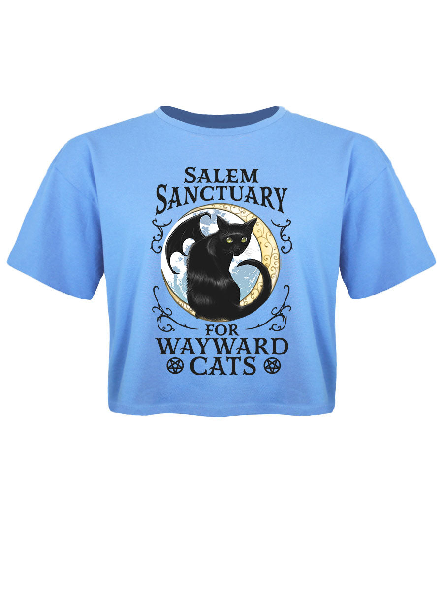 Salem Sanctuary For Wayward Cats Cornflower Blue Crop Top