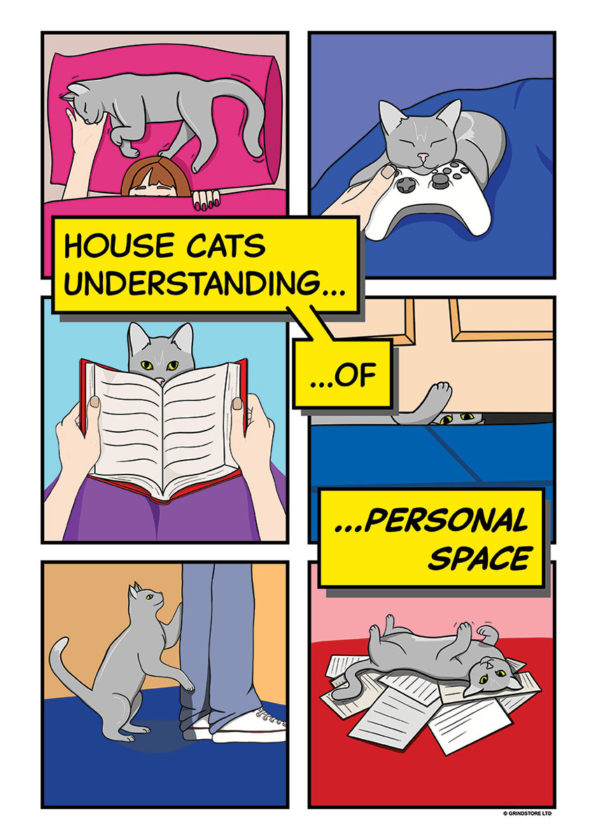 Personal Space Cat Comic Mini Poster