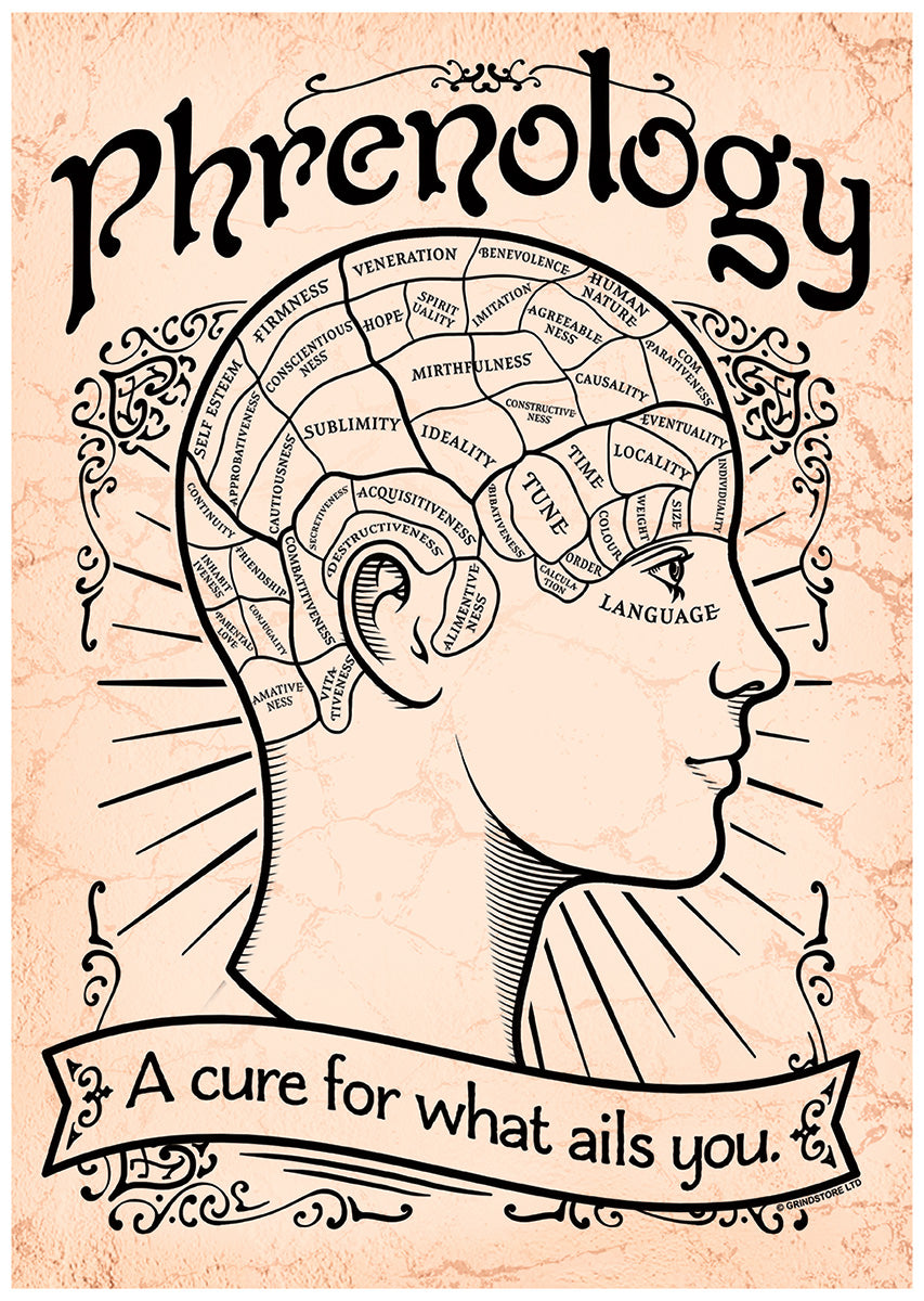 Phrenology What Ails You Mini Poster
