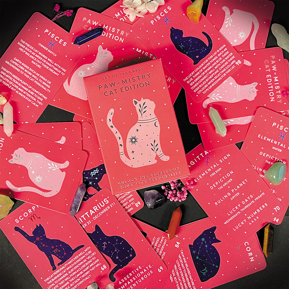 Paw-mistry Cat Edition Cards