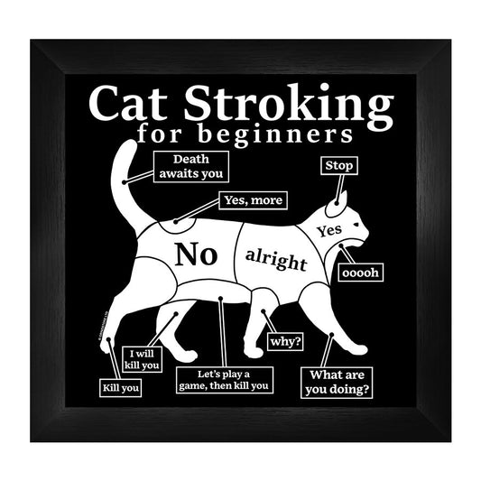 Cat Stroking For Beginners Framed Print