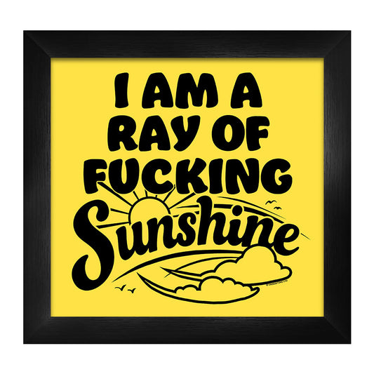 I Am A Ray Of Fucking Sunshine Framed Print