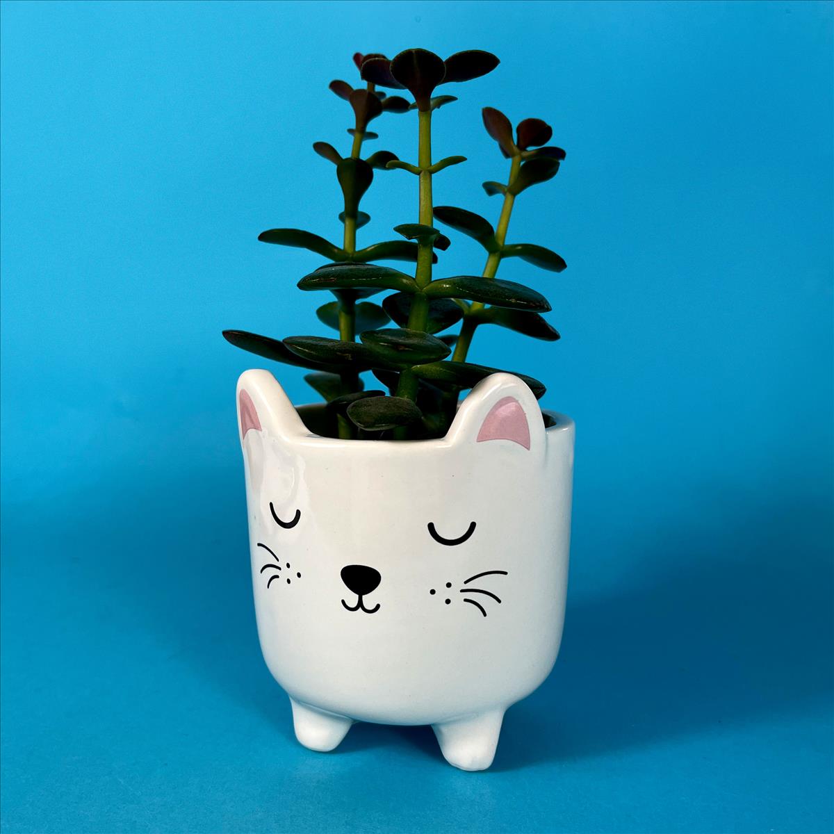 Mini Cat Planter on Legs