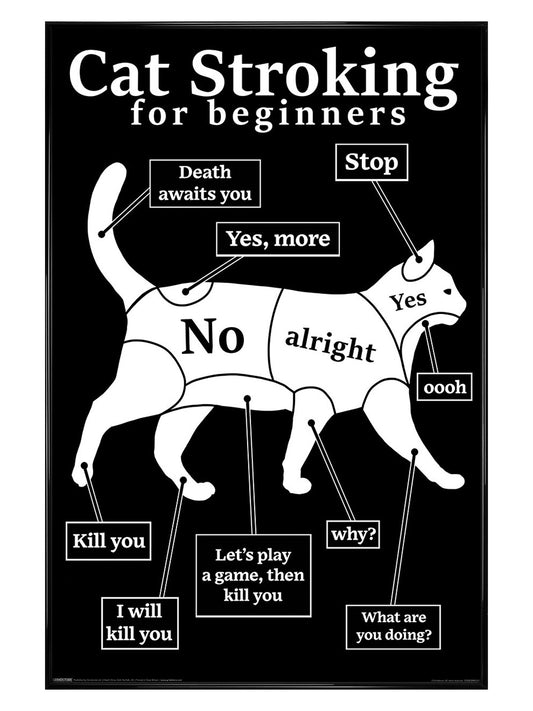 Cat Stroking For Beginners Maxi Poster