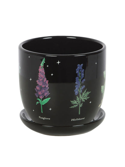 Poisonous Plants Plant Pot