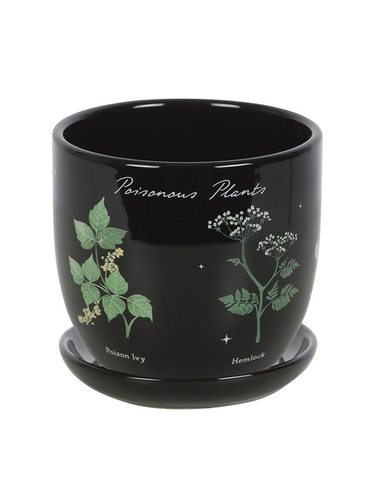 Poisonous Plants Plant Pot