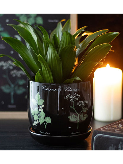 Poisonous Plants Plant Pot