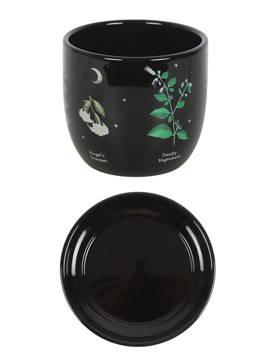 Poisonous Plants Plant Pot