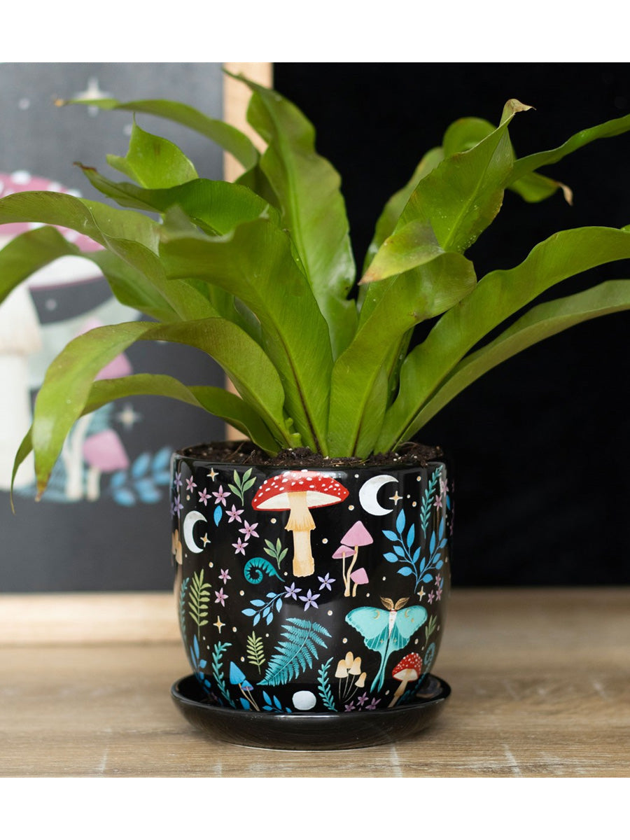 Dark Forest Print Ceramic Plant Pot with Saucer