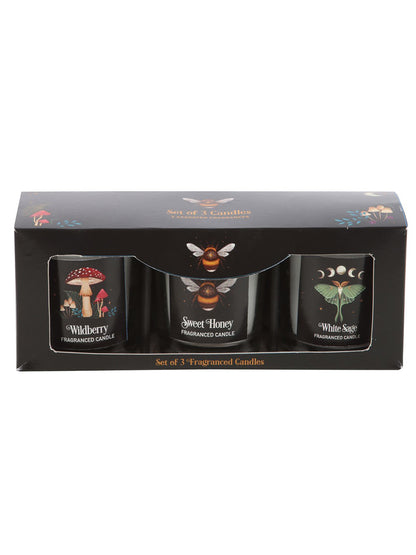 Dark Forest Votive Candle Trio