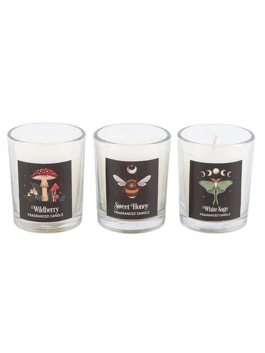 Dark Forest Votive Candle Trio