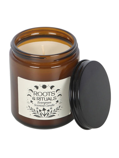 Roots & Rituals Evergreen Amber Glass Candle