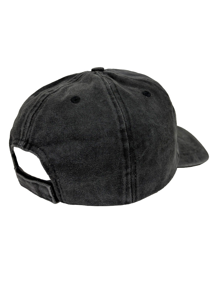 Pink Floyd Est 1965 Grey Cap