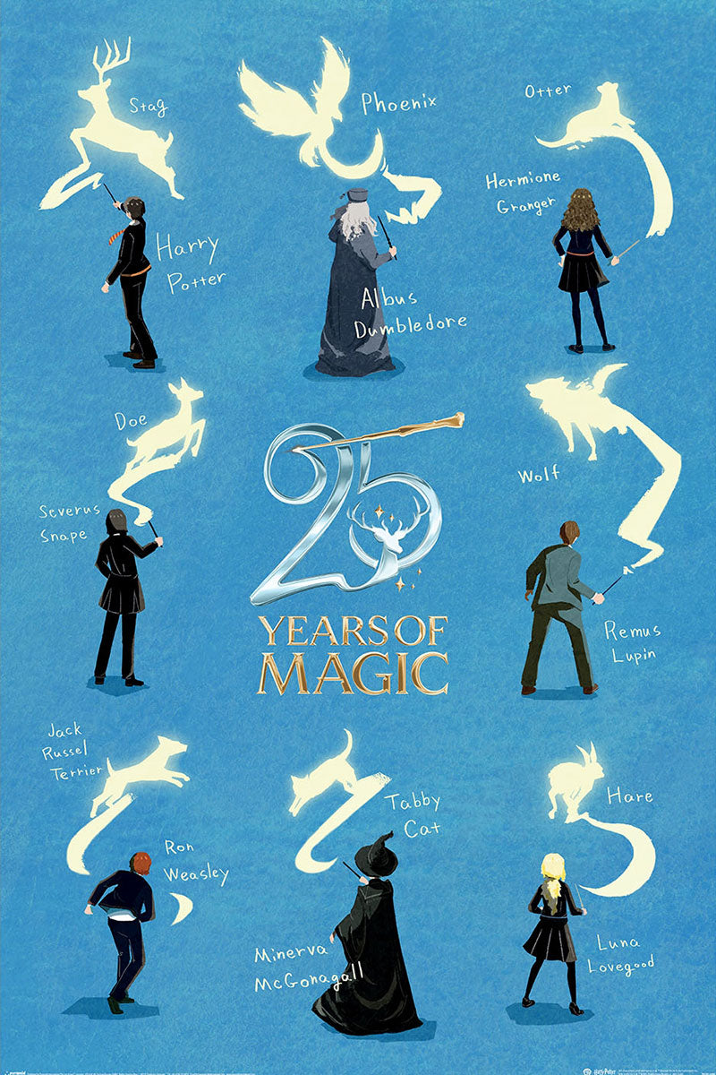 Harry Potter 25 Years Of Magic Maxi Poster