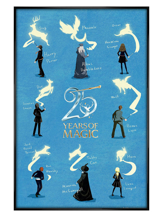 Harry Potter 25 Years Of Magic Maxi Poster