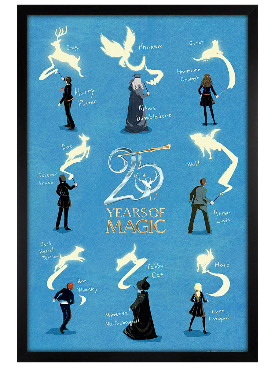 Harry Potter 25 Years Of Magic Maxi Poster