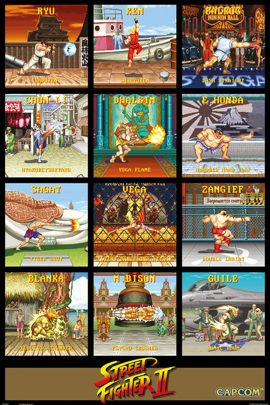 Street Fighter Special Moves Maxi Poster
