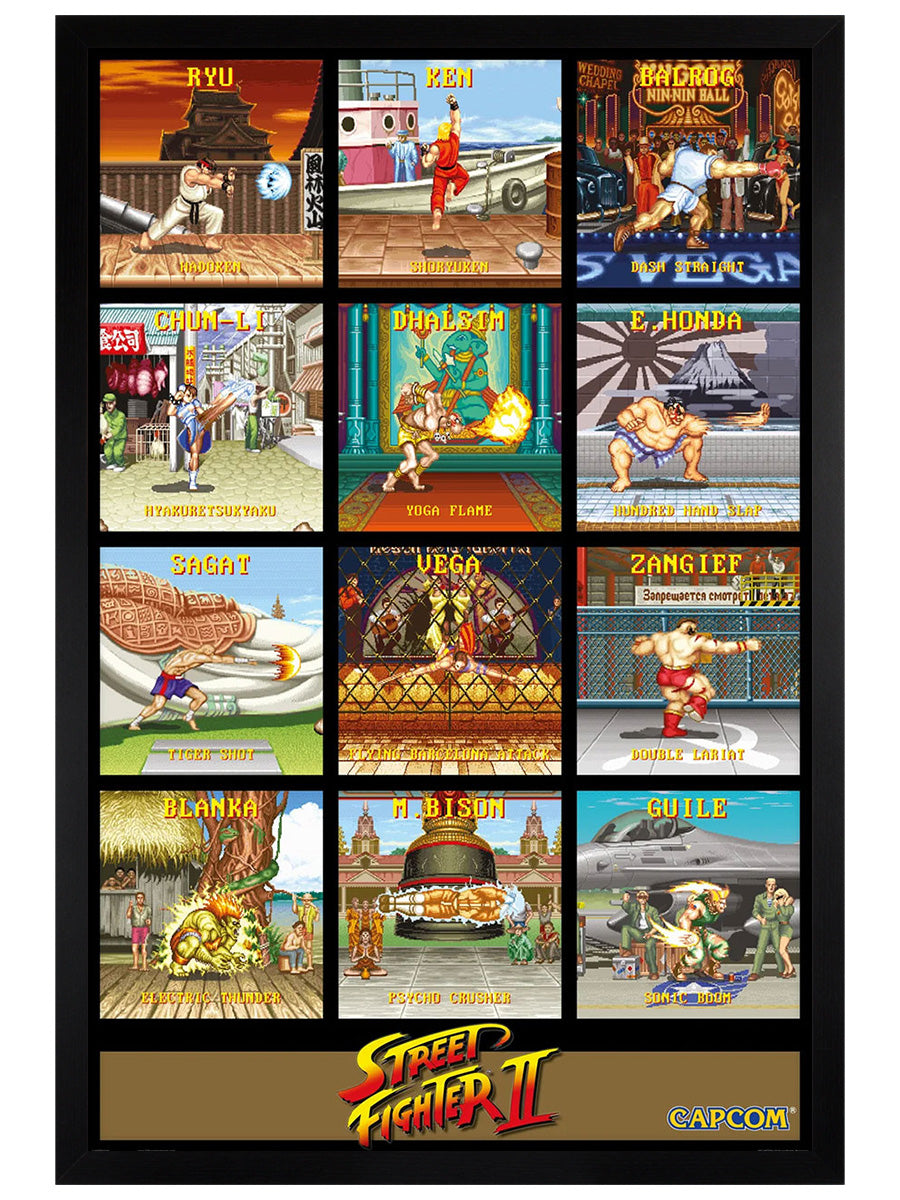 Street Fighter Special Moves Maxi Poster