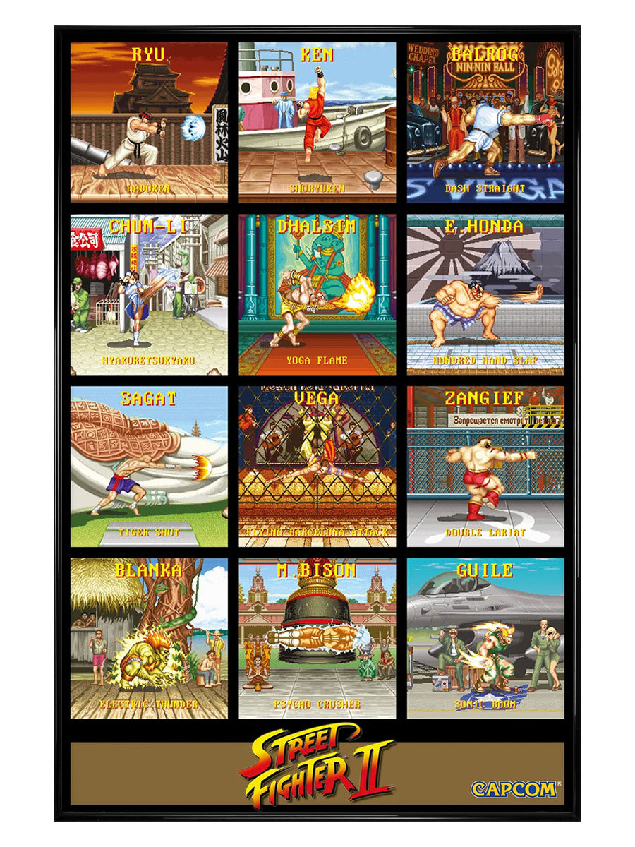 Street Fighter Special Moves Maxi Poster