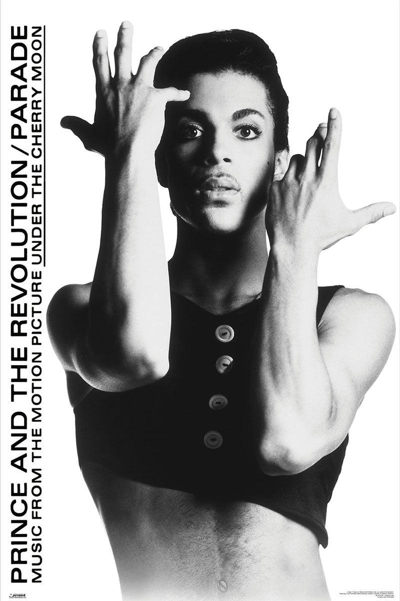 Prince Parade Maxi Poster
