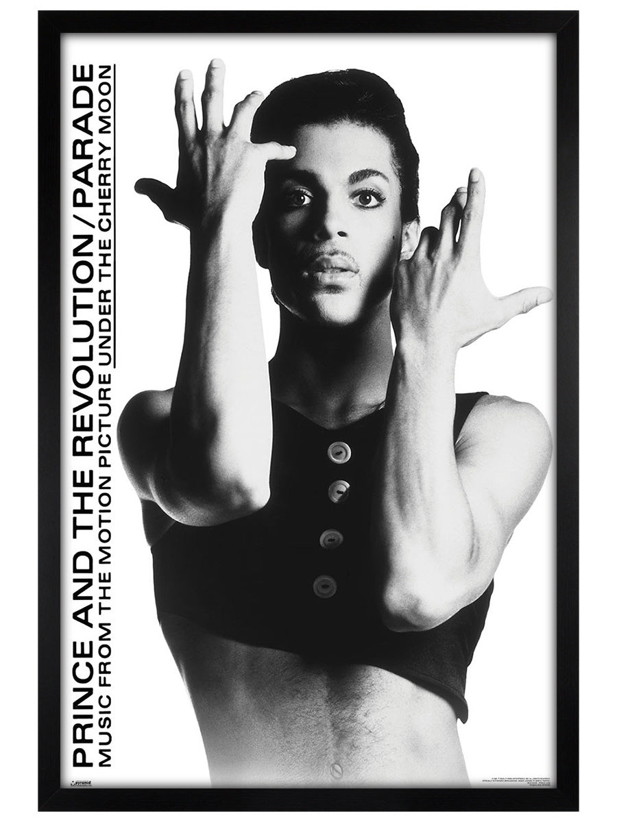 Prince Parade Maxi Poster