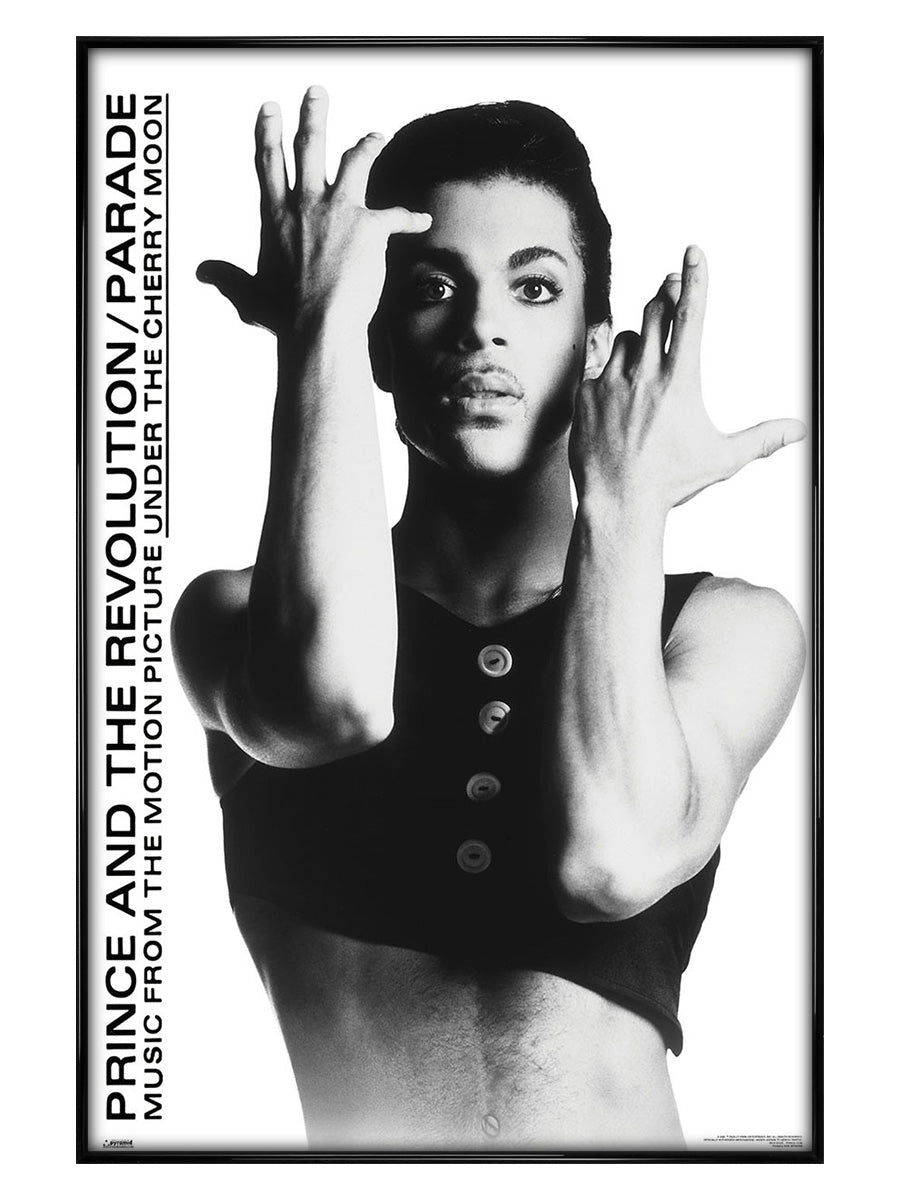 Prince Parade Maxi Poster