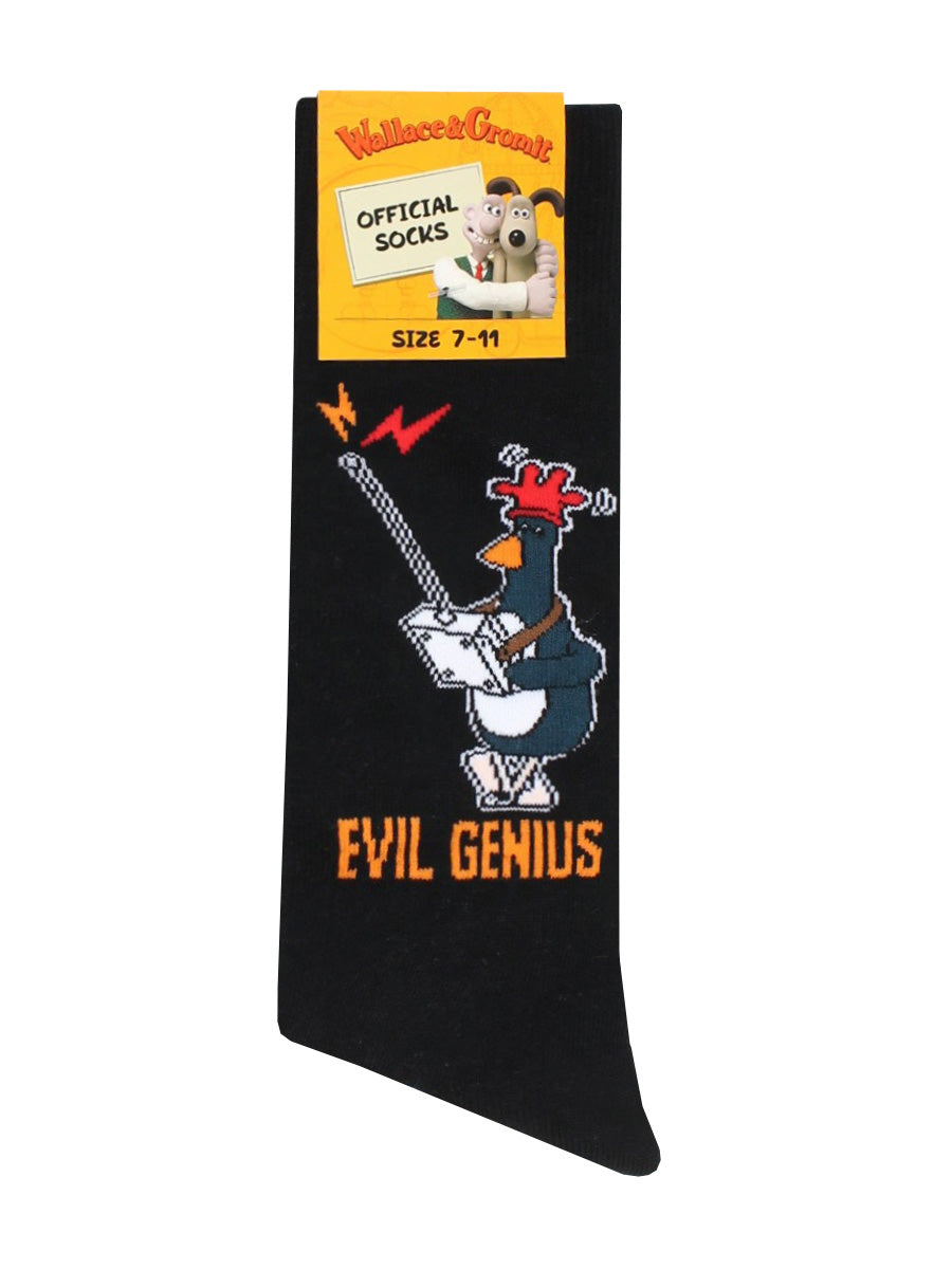 Wallace & Gromit Evil Genius Black Socks (UK Size 7-11)