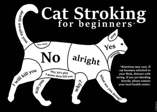 Cat Stroking For Beginners Mini Poster