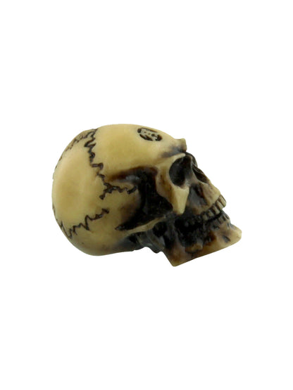 Alchemy Lapillus Worry Skull