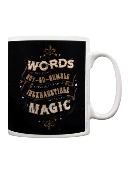 Harry Potter Source Of Magic Mug
