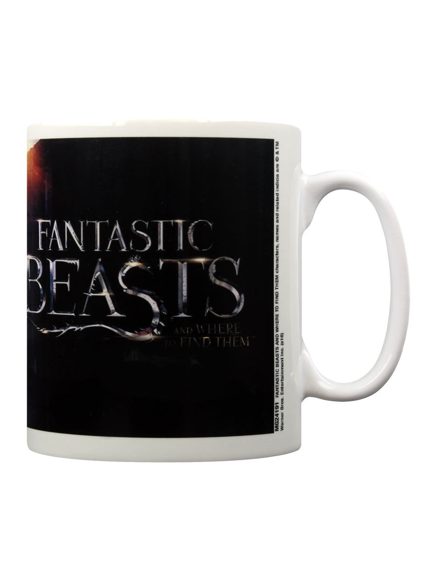 Fantastic Beasts Dusk Mug