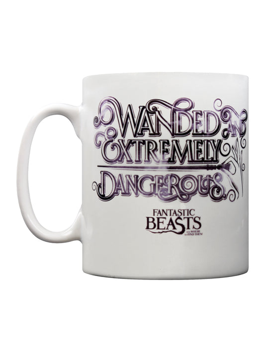 Fantastic Beasts Wanded Mug